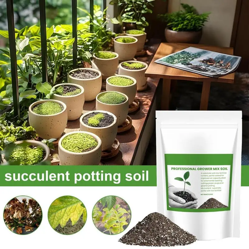 Succulent Soil Potting Mix Aer - Bonsai Garden Pot 评论和价格