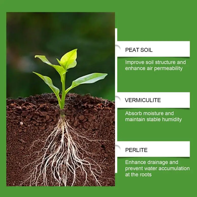 Succulent Soil Potting Mix Aer - Bonsai Garden Pot 评论和价格