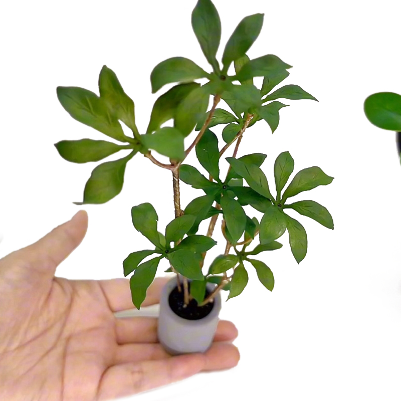 1:6 Dollhouse Miniature Potted - Bonsai Garden Pot 评论和价格