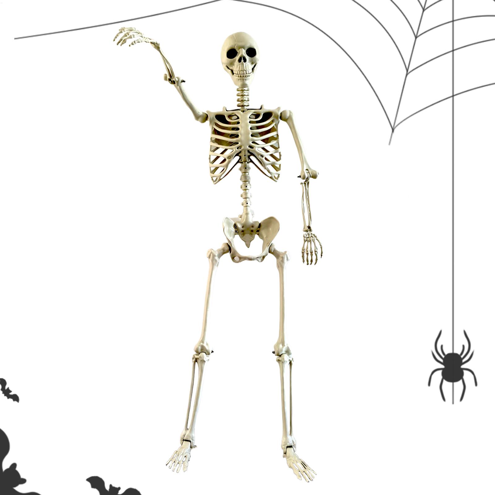 Halloween Outdoor Skeletons Re - Bonsai Garden Ideas 评论和价格