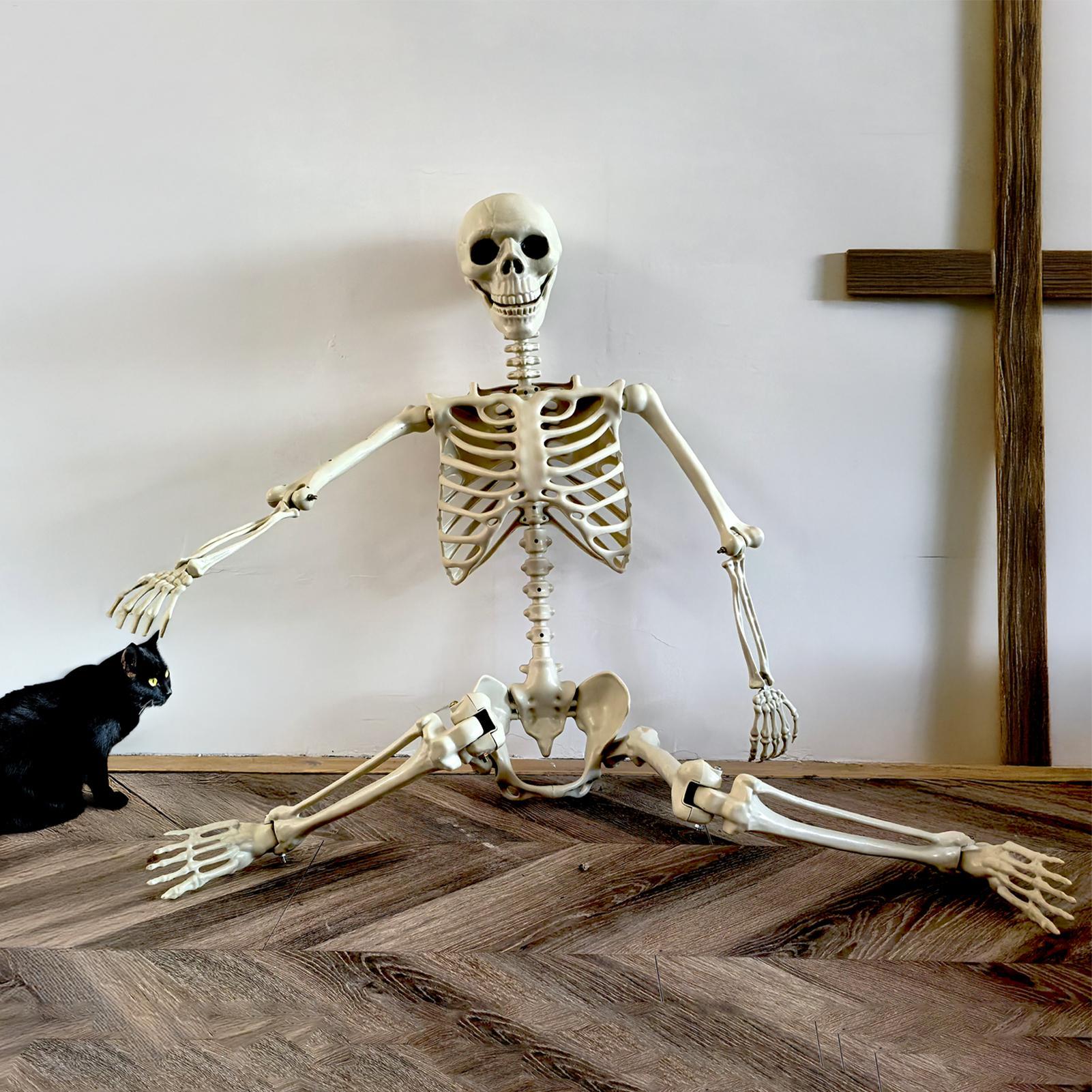 Halloween Outdoor Skeletons Re - Bonsai Garden Ideas 评论和价格