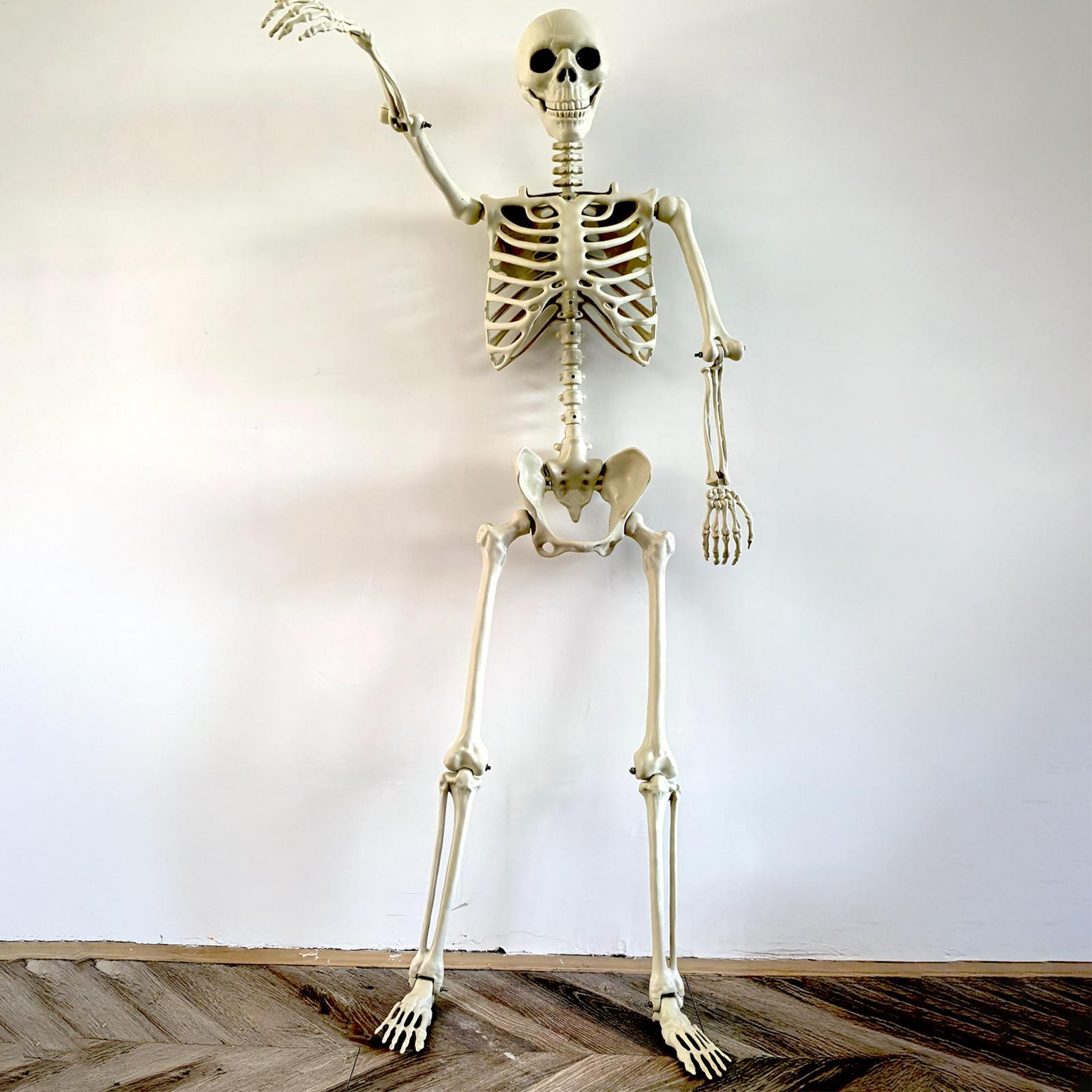 Halloween Outdoor Skeletons Re - Bonsai Garden Ideas 评论和价格
