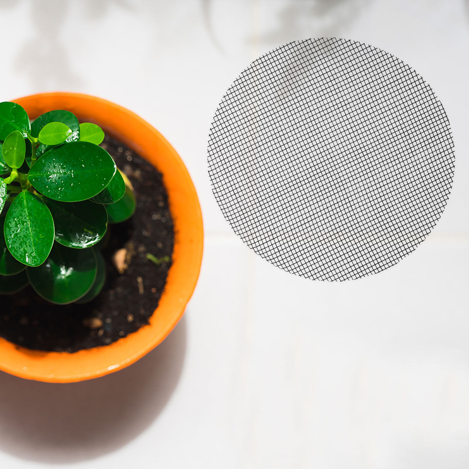 50Pcs Flower Pot Hole Mesh Pad - Bonsai Garden Pot 评论和价格