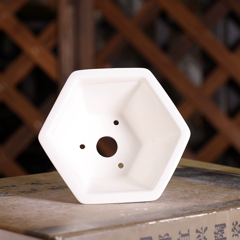 Porcelain Hexagon Bonsai Pot,S - Bonsai Garden Chinese Garden 评论和价格