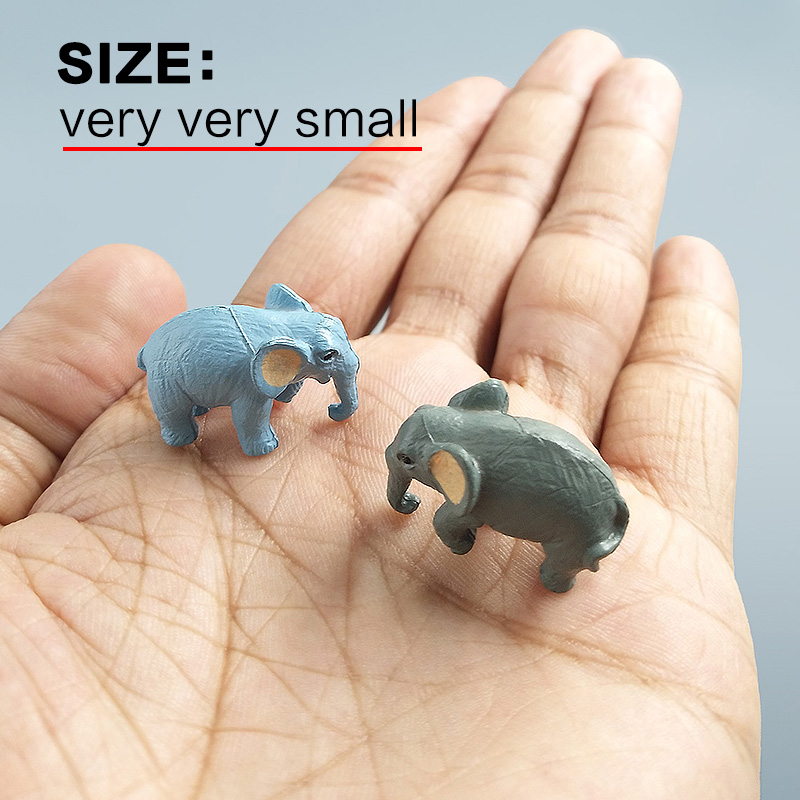 10Pcs Small Elephant Bonsai Fi - Bonsai Garden In Japan 评论和价格
