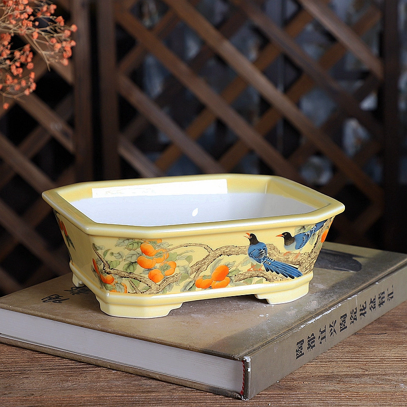 Porcelain Rectangle Bonsai Pot - Bonsai Garden Chinese Garden 评论和价格