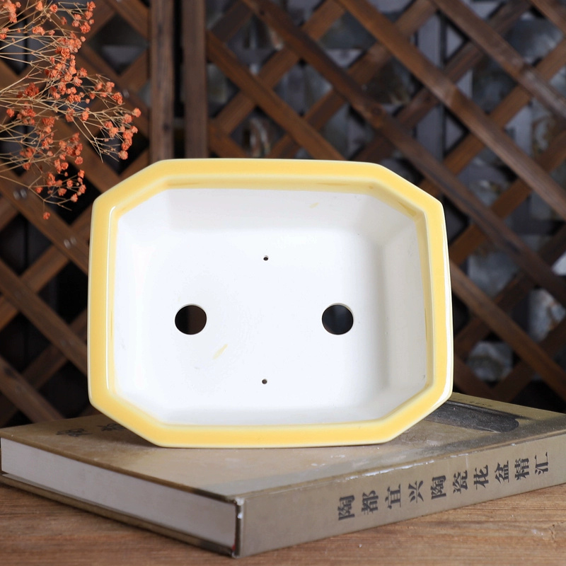 Porcelain Rectangle Bonsai Pot - Bonsai Garden Chinese Garden 评论和价格