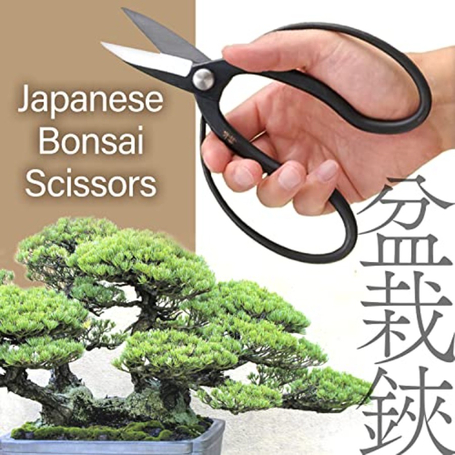 Japanese Suiryu Bonsai Scissor - Bonsai Garden In Japan 评论和价格