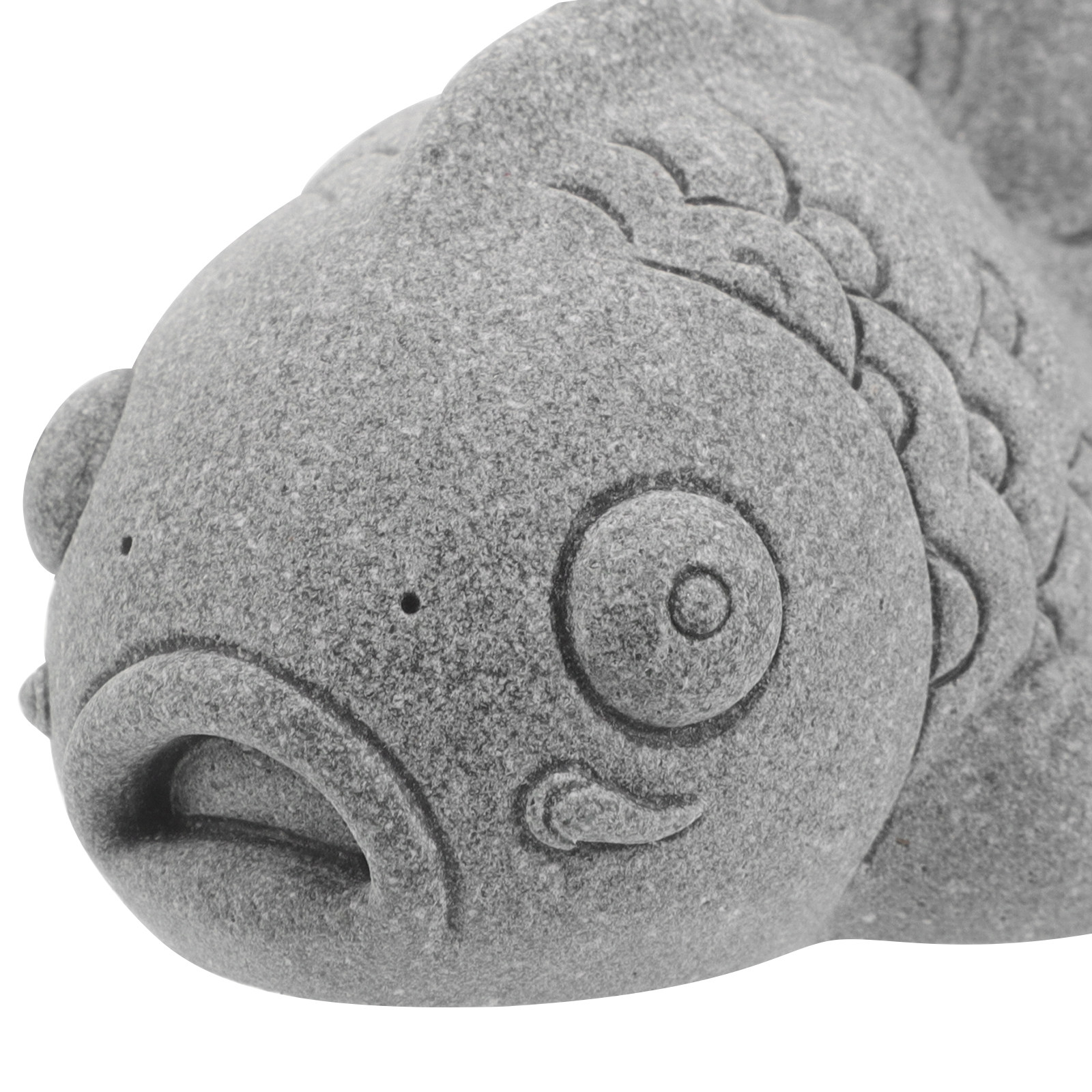 2Pcs Feng Shui Koi Fish Garden - Bonsai Koi Garden 评论和价格