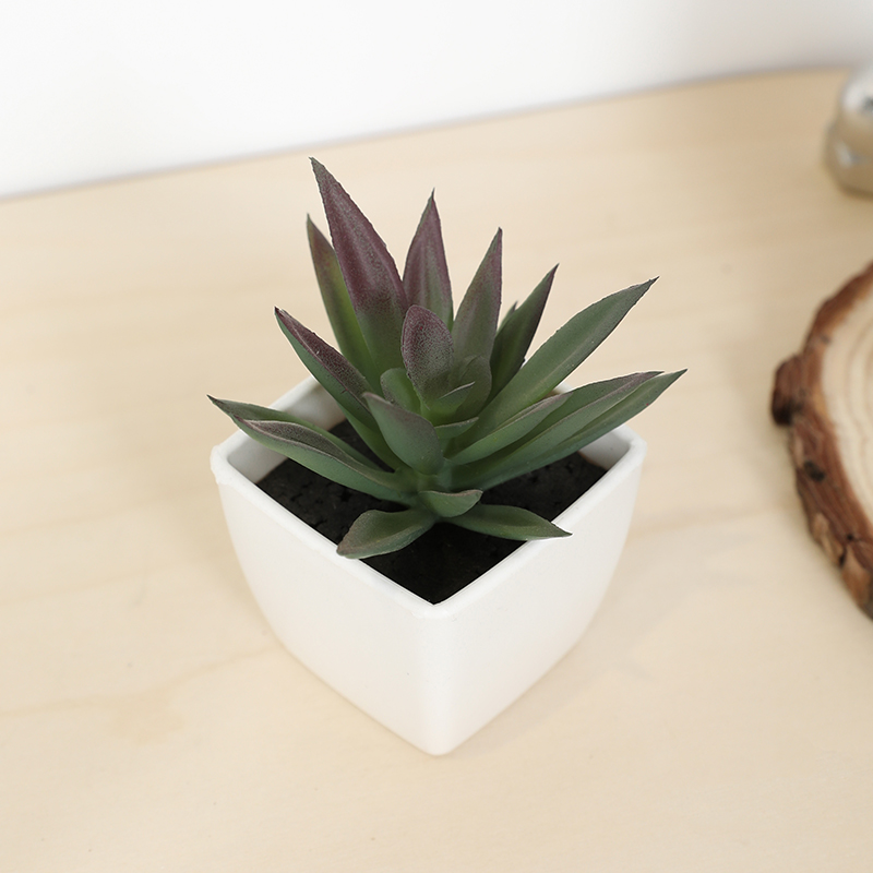 Mini Artificial Succulent Fair - Bonsai Garden Ideas 评论和价格