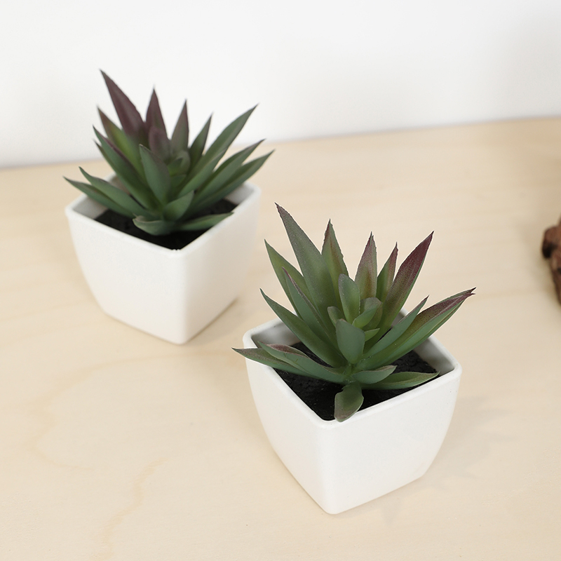 Mini Artificial Succulent Fair - Bonsai Garden Ideas 评论和价格