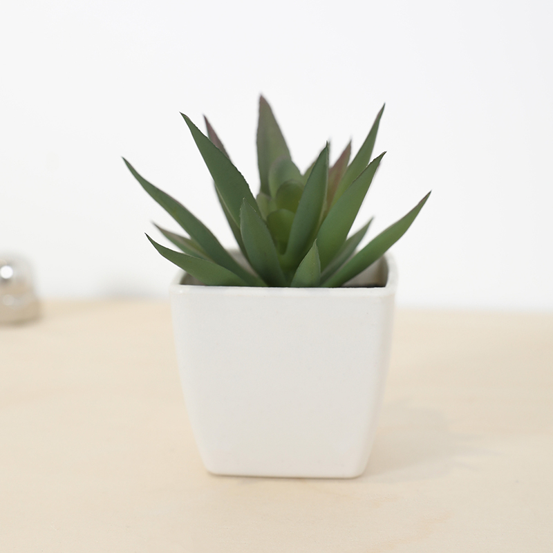 Mini Artificial Succulent Fair - Bonsai Garden Ideas 评论和价格