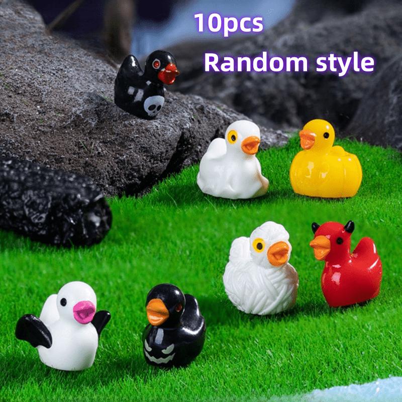10 Pieces of Miniature Duck St - Bonsai Garden Ideas 评论和价格